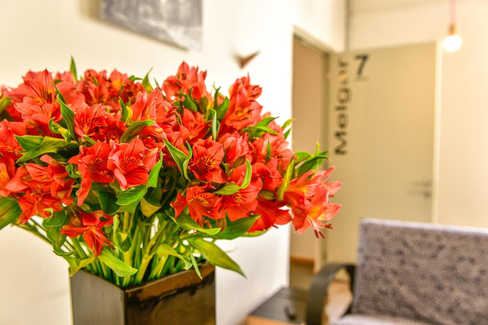 Casa Melgar Hotel Mexico City Ngoại thất bức ảnh