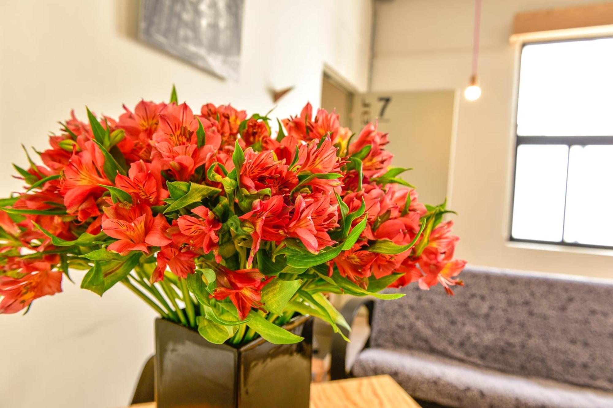 Casa Melgar Hotel Mexico City Ngoại thất bức ảnh